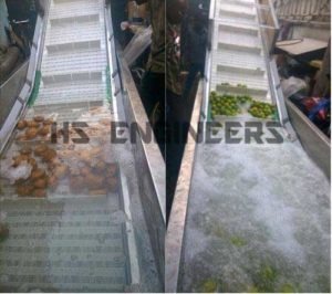 Vegetable Washing Conveyor